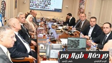 وزارة قطاع الاعمال