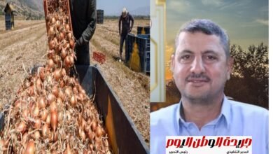 امين الفلاحين بحزب مستقبل وطن بفاقوس : خسائر مزارعي البصل في الموسم الماضي كانت فادحة