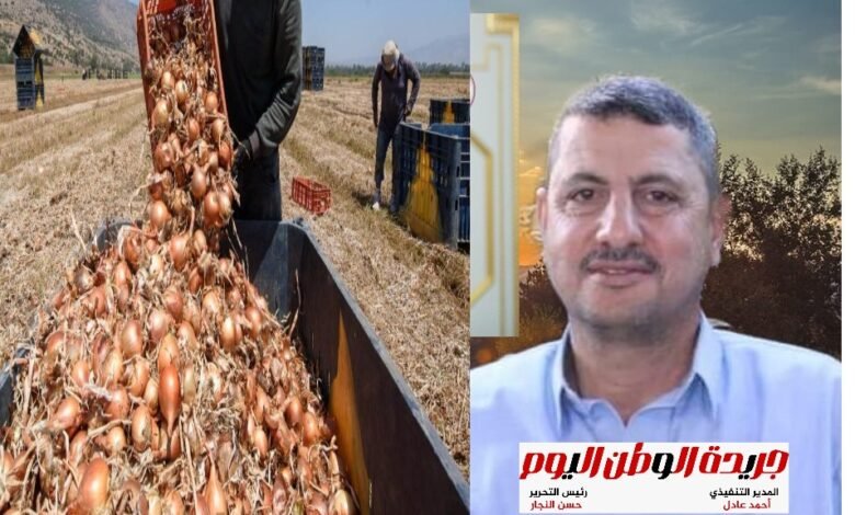 امين الفلاحين بحزب مستقبل وطن بفاقوس : خسائر مزارعي البصل في الموسم الماضي كانت فادحة