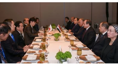 الرئيس المصري يلتقي رئيس الوزراء الياباني بشان ضرورة التوصل والحل العادل والشامل للقضية الفلسطينية 