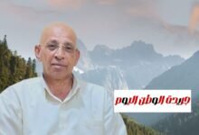 بقلم حسن النجار. عقوبة محتكري السلع الاستراتيجية