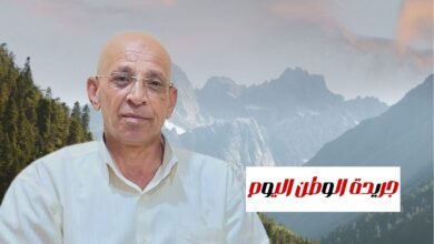 بقلم حسن النجار. عقوبة محتكري السلع الاستراتيجية