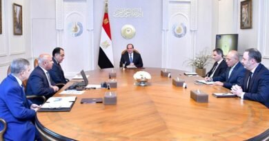 الرئيس السيسي يلتقي الرئيس التنفيذي لشركة الخطوط الملاحية الفرنسية العالمية مشيدًا بمناخ التعاون السائد بين الجانبين 