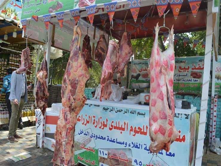 مبادرة "خير مزارعنا لأهالينا" وزارة‫ الزراعة تطرح اللحوم البلدية بـ 280 جنيها لرفع العبء عن كاهل المواطنين