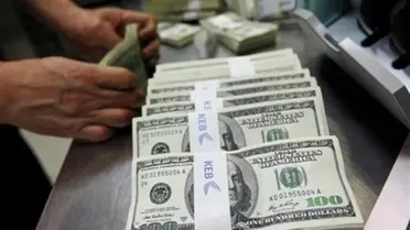 الدولار الامريكي جريدة الوطن اليوم