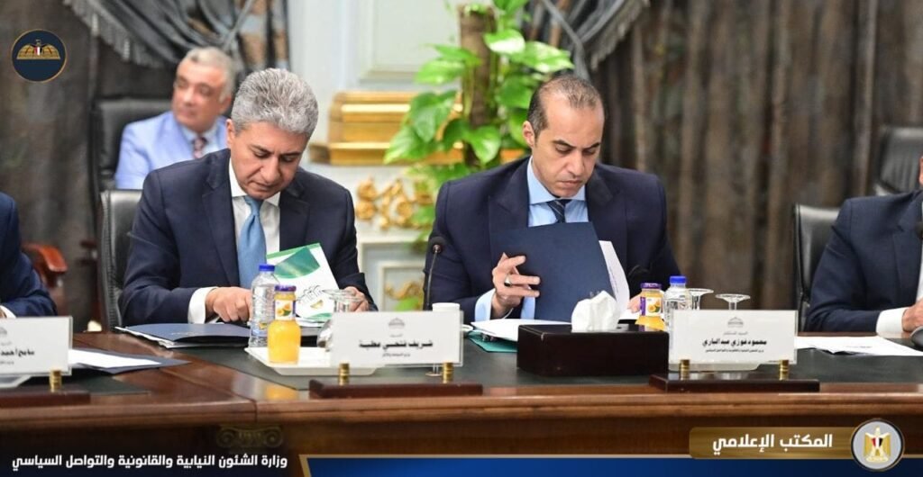 الحكومة المصرية تستعرض الخطط التنفيذية أمام اللجنة البرلمانية الخاصة المعنية