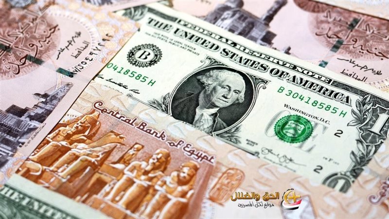 قفزة مفاجئة في سعر الدولار اليوم أمام الجنيه المصري بالبنوك 