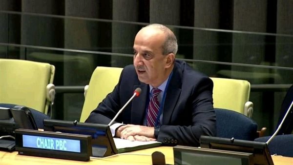 مندوب مصر بالأمم المتحدة نرفض نقل الفلسطينيين للمدينة الإنسانية 