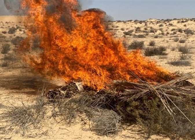 الداخلية تضبط أخطر تاجر مخدرات بمزرعة في الإسماعيلية بقيمة 795 مليون