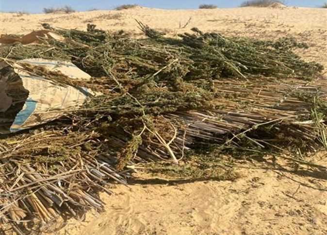 الداخلية تضبط أخطر تاجر مخدرات بمزرعة في الإسماعيلية بقيمة 795 مليون