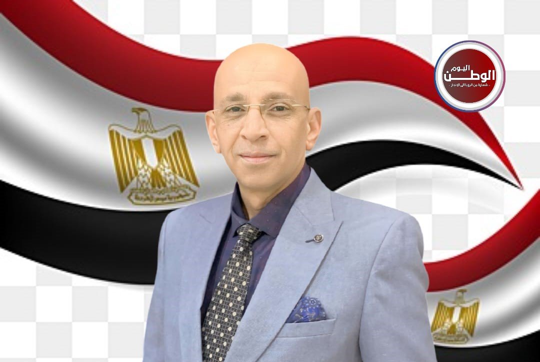 المفكر السياسي حسن النجار انتخابات مجلس النواب محطة لتعزيز الوعي المجتمعي