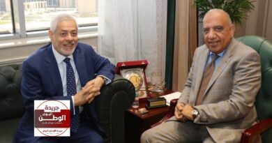 مصر والإمارات تتعاونان لتوسيع مشروعات الطاقة المتجددة وتخزين الكهرباء المتطور 