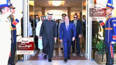 الرئيس السيسي يستقبل محمد بن زايد