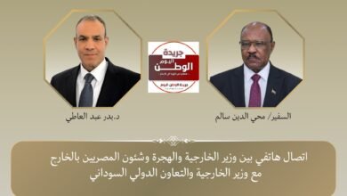 بدر عبد العاطي يهنئ نظيره السوداني ويؤكد دعم مصر الكامل 