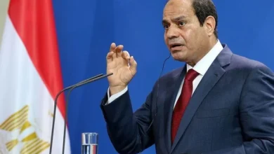 بقلم حسن النجار مصر تقود معركة الردع العربي 