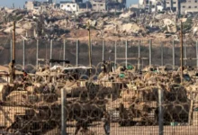 حماس ترحب بتفاوض وقف الحرب في قطاع غزة وتؤكد موافقتها السابقة على المقترح الأميركي 