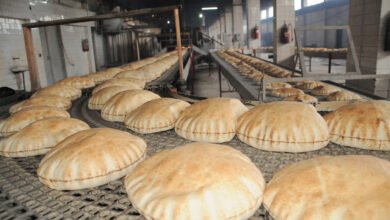 عقد من إنجازات التموين 270 مليون رغيف و30 سلعة مدعمة 