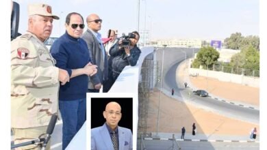 قلم حسن النجار يكتب عن رهانات السيسي الرابحة 