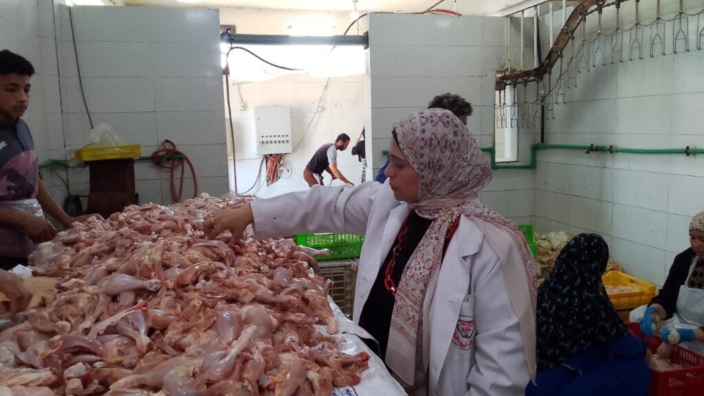 بيطري الشرقية يضبط 15 طن دواجن فاسدة ببلبيس خلال حملة مكبرة