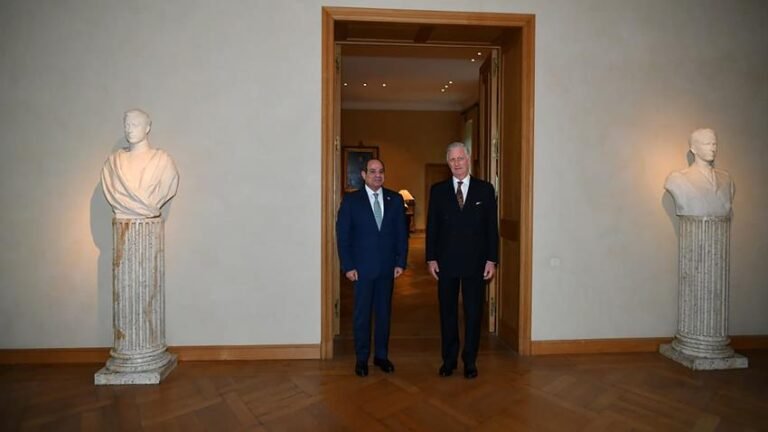 الرئيس السيسي يلتقي ملك بلجيكا في بروكسل لبحث تعزيز العلاقات المشتركة