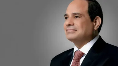 الرئيس السيسي منتدى أسوان للسلام منصة أفريقية للحوار والتنمية