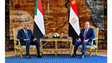الرئيس السيسي والبرهان يبحثان الأزمة السودانية والتعاون المشترك في الاتحادية 