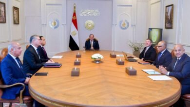 الرئيس السيسي يبحث مع نائب رئيس إكسون موبيل تعزيز التعاون الاستثماري بالطاقة 