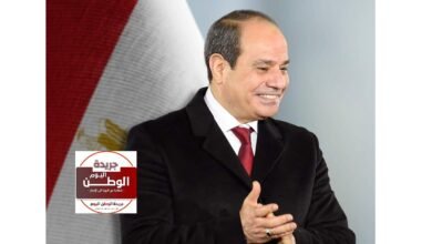 الرئيس عبد الفتاح السيسي (2)