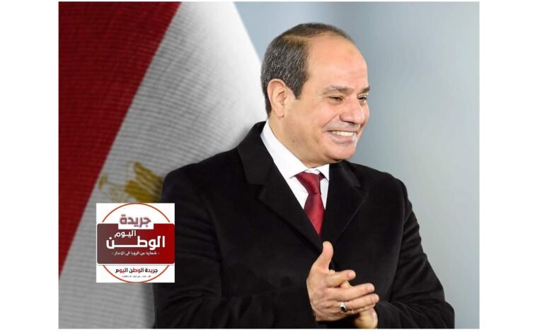 الرئيس عبد الفتاح السيسي (2)