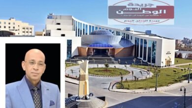 الكاتب الصحفي والمفكر السياسي حسن النجار عضو المكتب الفني للشؤون السياسية