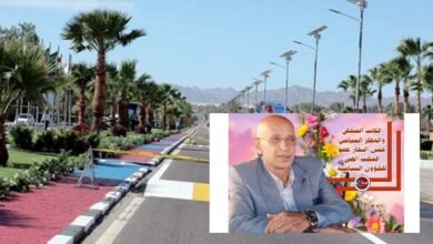 بقلم حسن النجار .. من شرم الشيخ.. مصر تصنع السلام وتكتب التاريخ من جديد 