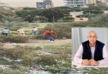 حسن النجار يكتب جريمة الإسماعيلية المروعة.. طفل يقتل صديقه والضمير في صدمة