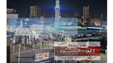 فاقوس تشتعل بالمؤتمرات الانتخابية... الدائرة السابعة ترسم المشهد السياسي القادم