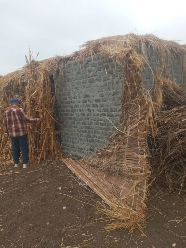 محافظة الشرقية تواصل إزالة التعديات ضمن المرحلة الثالثة للموجة ٢٧