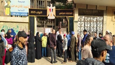 اجتماعات عاجلة للأحزاب بعد أحكام إلغاء وإعادة الانتخابات بعدة دوائر