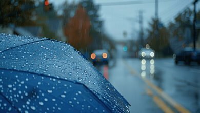 الأرصاد تحذر من أمطار غزيرة ورياح قوية اليوم الجمعة 14 نوفمبر 2025 