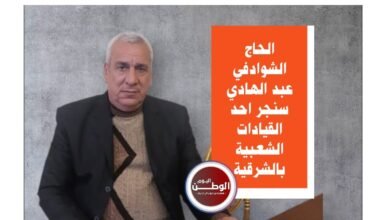 الشوادفي عبد الهادي سنجر يشيد بقانون الإجراءات الجنائية الجديد