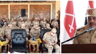 الفريق أول عبد المجيد صقر وزير الدفاع يؤكد جاهزية القوات المسلحة بنظم قتالية حديثة قوية