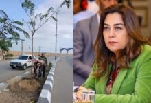 القائم بأعمال وزيرة البيئة .. انطلاق المرحلة الرابعة لمبادرة 100 مليون شجرة بالشرقية