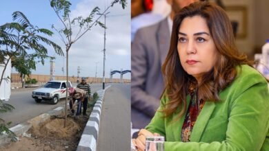 القائم بأعمال وزيرة البيئة .. انطلاق المرحلة الرابعة لمبادرة 100 مليون شجرة بالشرقية