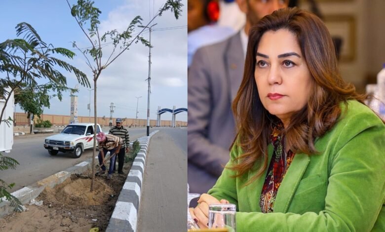 القائم بأعمال وزيرة البيئة .. انطلاق المرحلة الرابعة لمبادرة 100 مليون شجرة بالشرقية