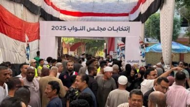المصريون يبعثون رسالة وطنية بمشاركتهم الكثيفة في انتخابات مجلس النواب 2025