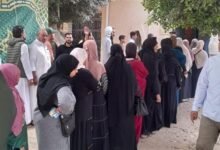 المنظمة المصرية 400 متابع رصدوا انتخابات نواب 2025 بهدوء وانتظام