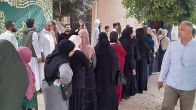 المنظمة المصرية 400 متابع رصدوا انتخابات نواب 2025 بهدوء وانتظام