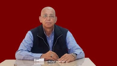 بقلم حسن النجار ..  برلمان 2025 يرسم ملامح التوازن الحزبي الجديد 