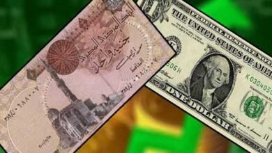 تحديثات جديدة في سعر الدولار أمام الجنيه المصري اليوم السبت
