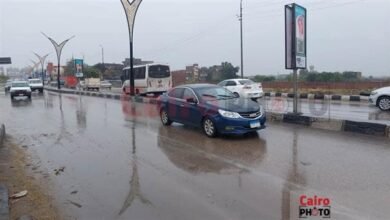 تحذيرات من الهئية العامة للأرصاد من شبورة وأمطار اليوم وتأثيرها على الطرق