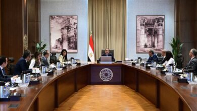 رئيس الوزراء المصري يستعرض جهود اللجنة الاستشارية لتعزيز الاقتصاد الرقمي وريادة الأعمال