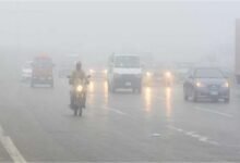 شبورة كثيفة تعطل حركة المرور بطريق الواحات وتزيد مخاوف السائقين اليوم