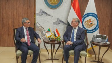 مباحثات مصرية جزائرية لتعزيز التعاون في البترول والغاز